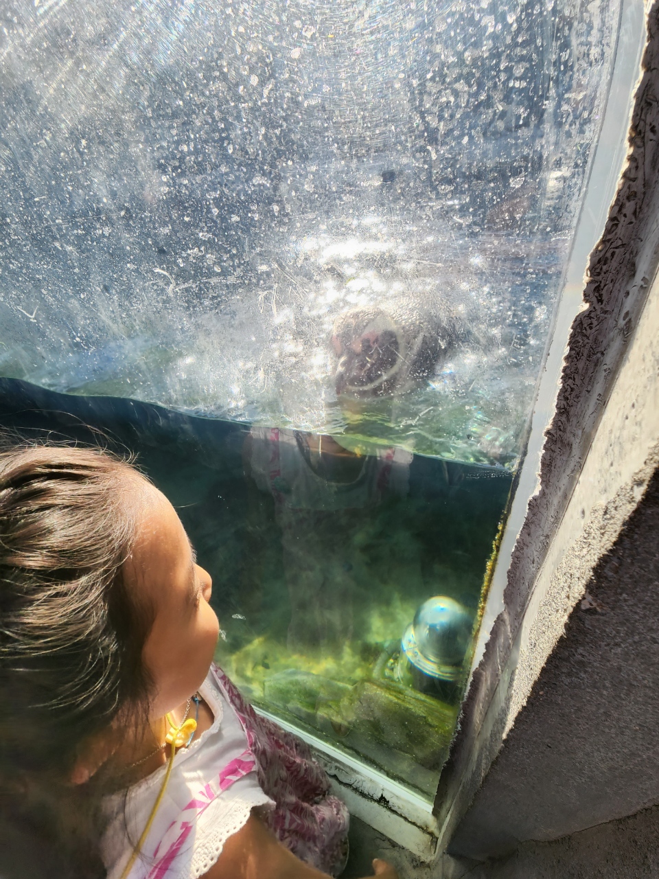 Jayde is waiting for me