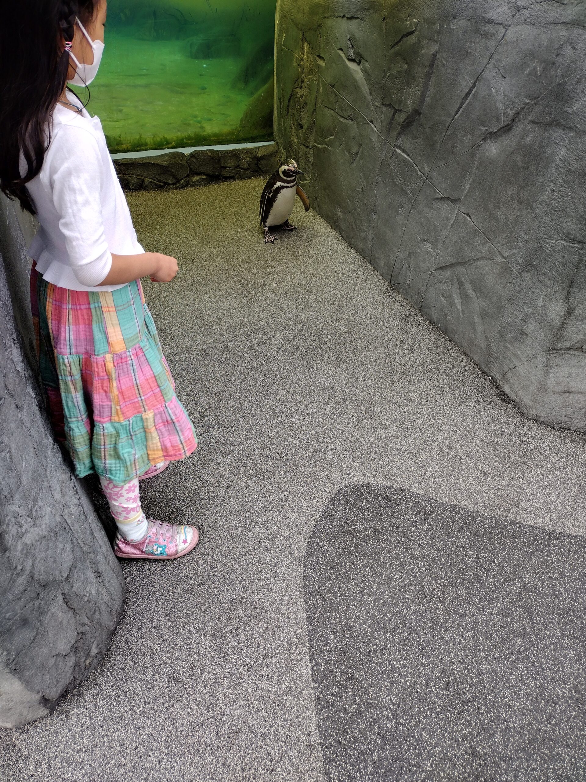 IMG_20220717_084545195_HDR