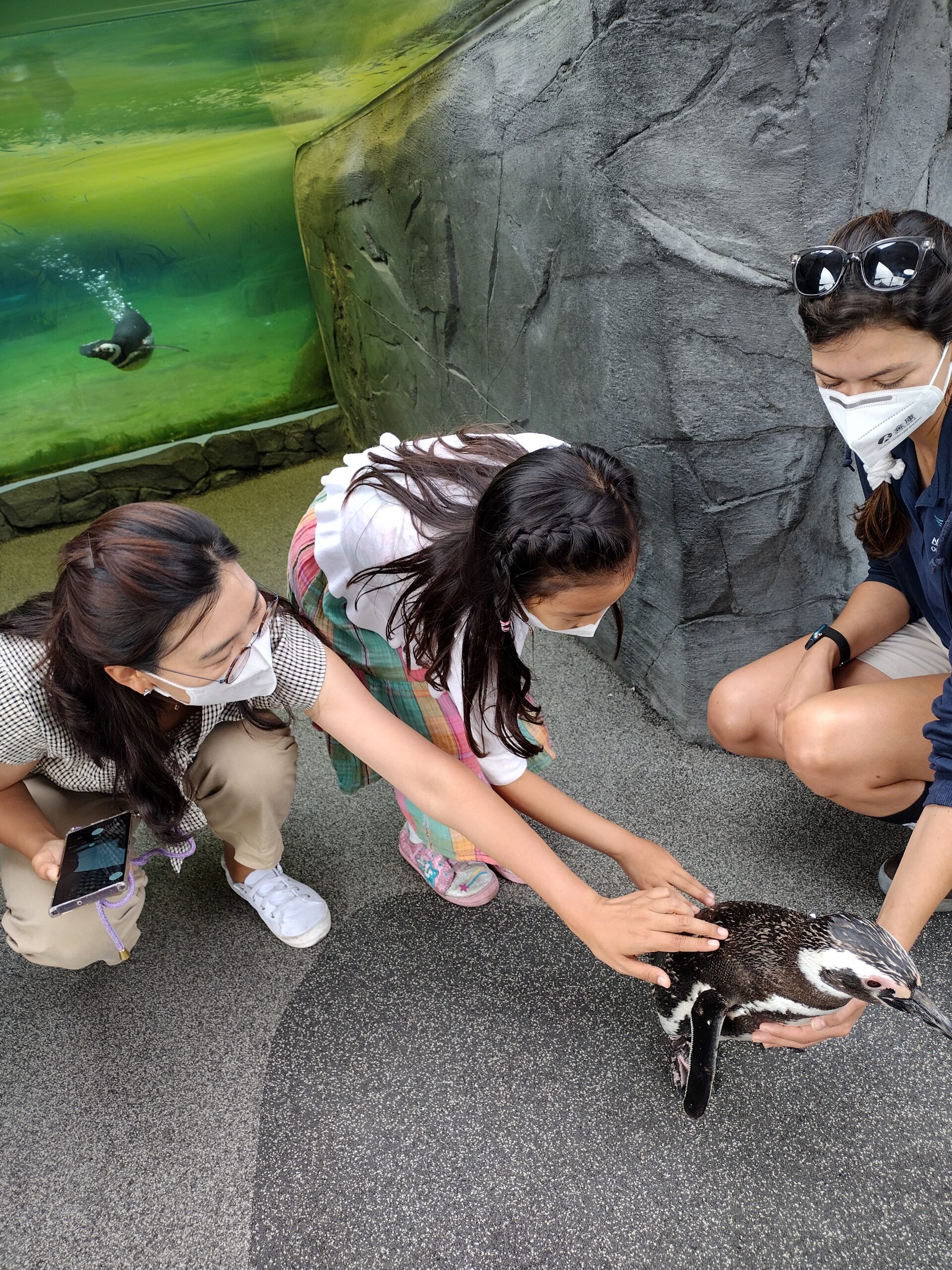 IMG_20220717_084619468_HDR