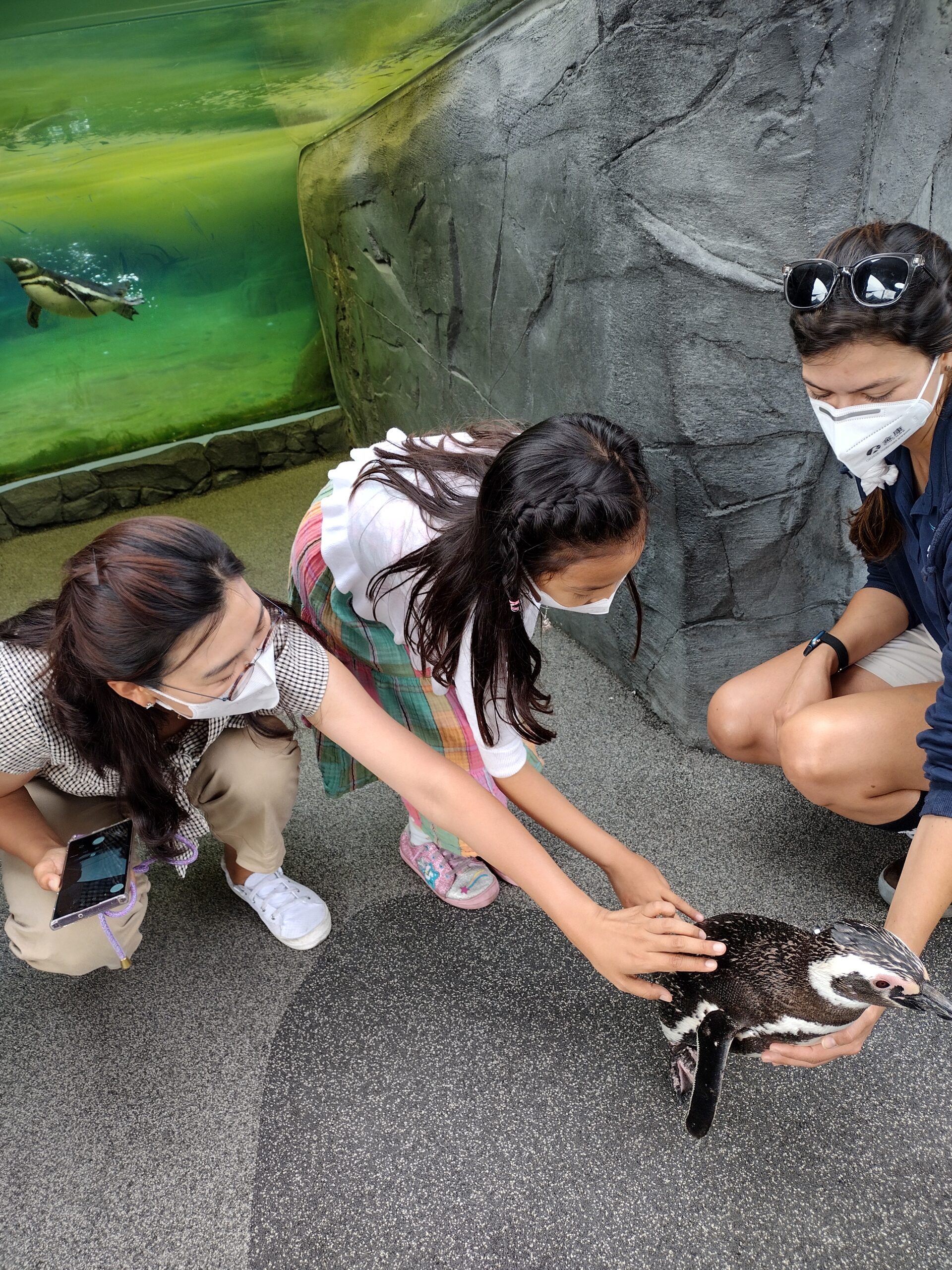 IMG_20220717_084620185_HDR