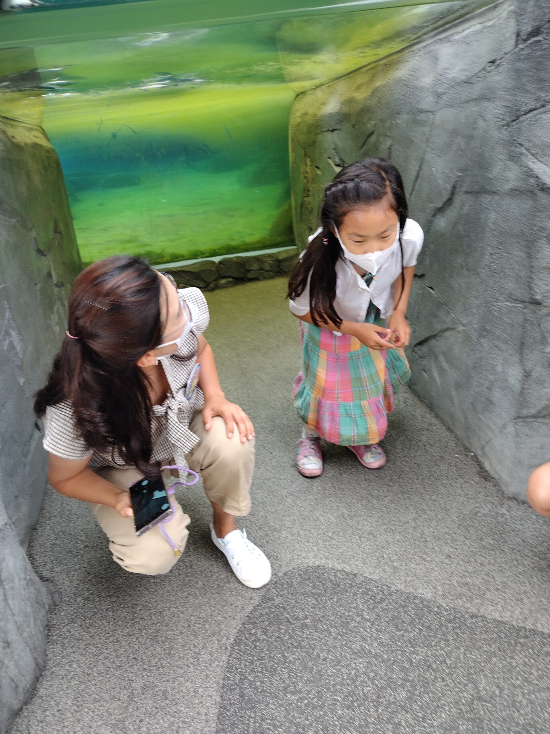 IMG_20220717_084622641_HDR