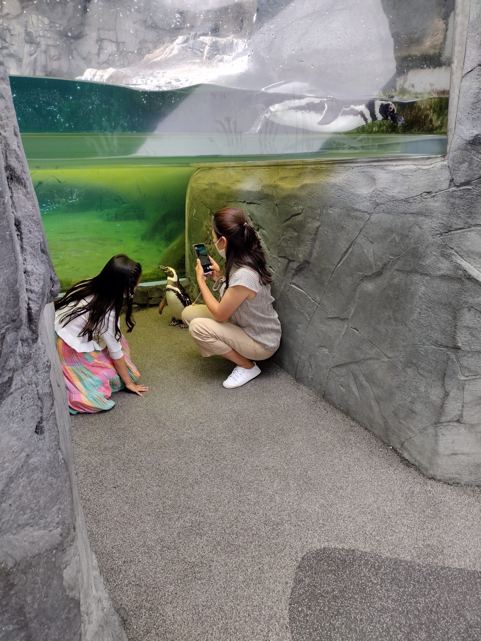 IMG_20220717_085221656_HDR