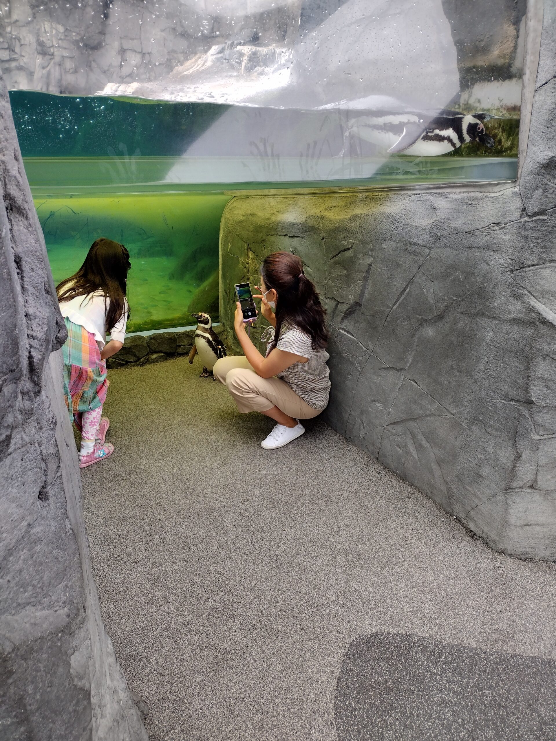 IMG_20220717_085223960_HDR