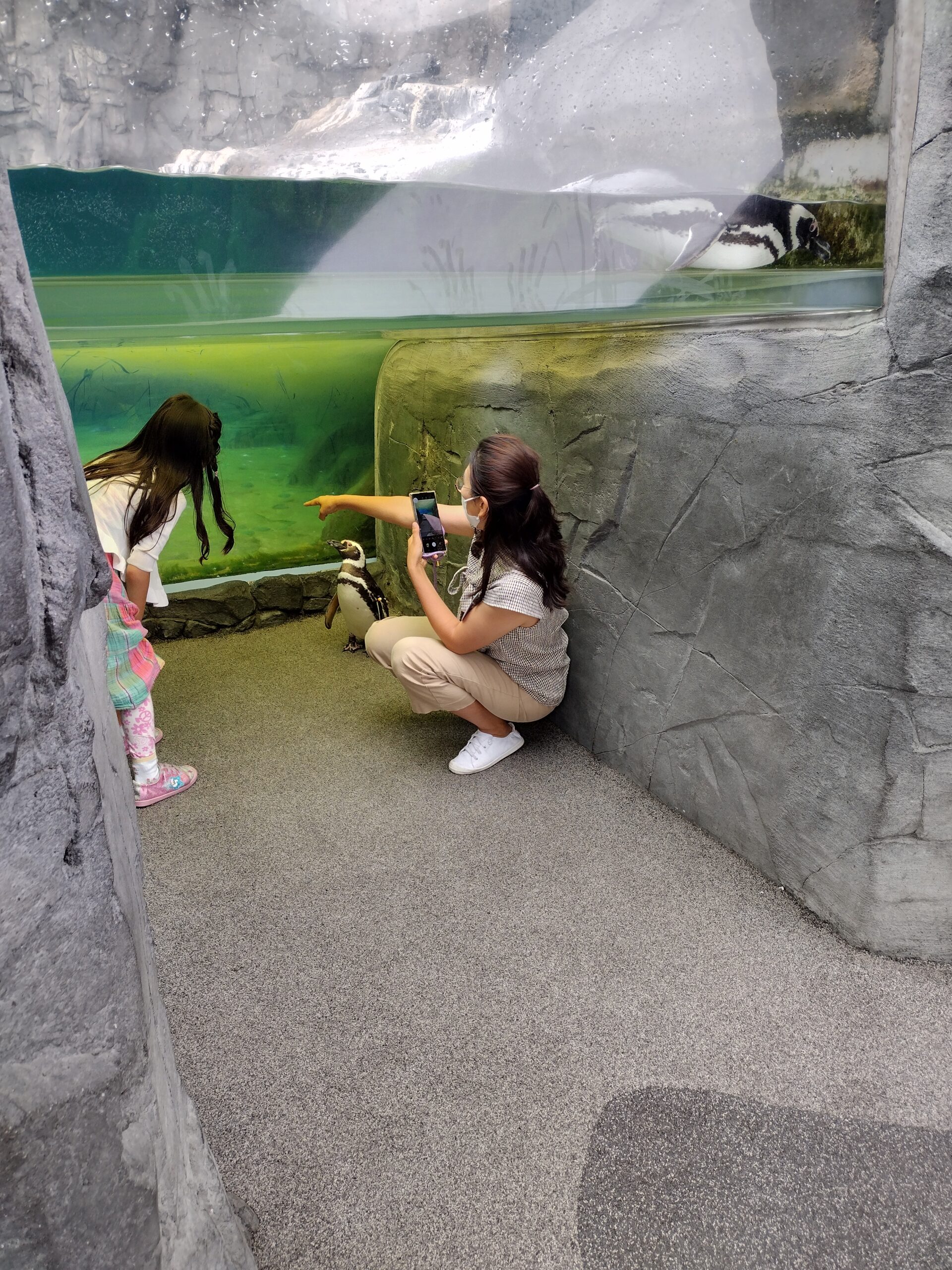 IMG_20220717_085224941_HDR