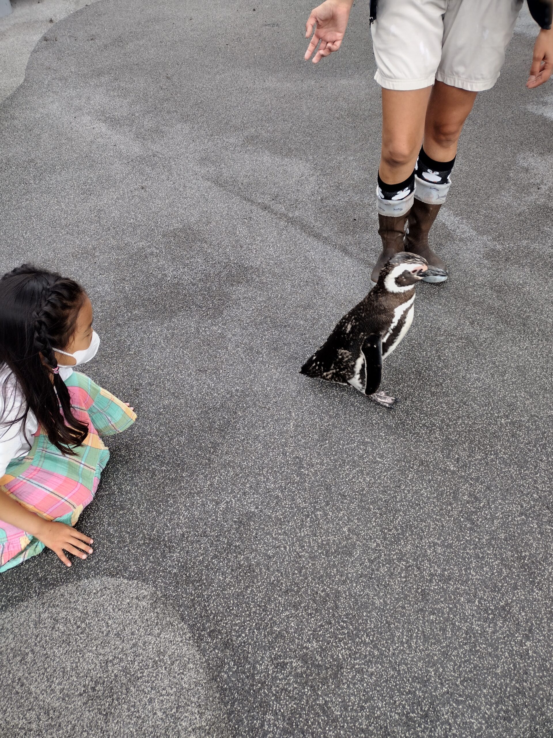 IMG_20220717_085242458_HDR