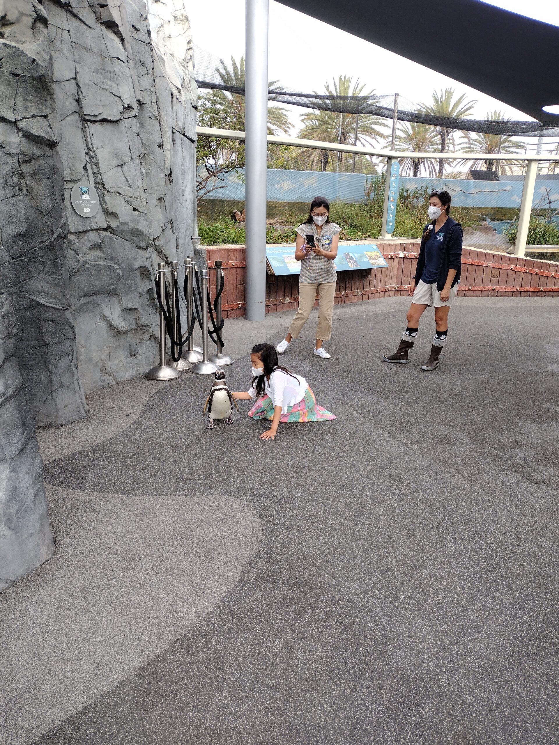 IMG_20220717_085838133