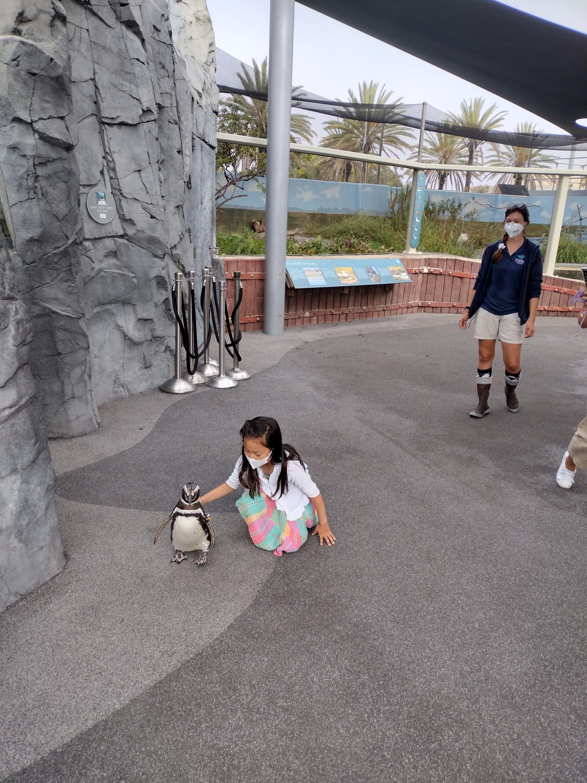 IMG_20220717_085841241_HDR