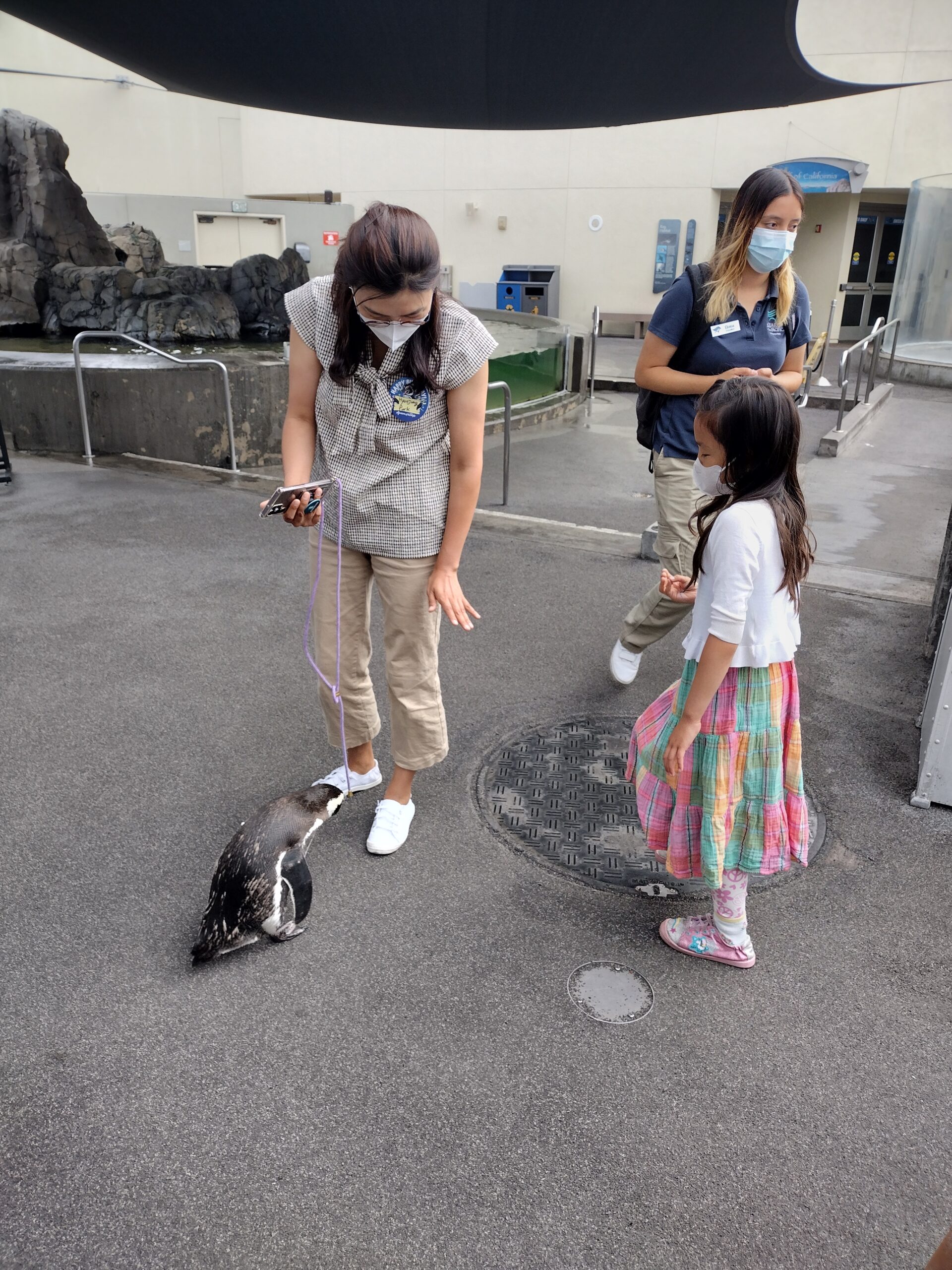 IMG_20220717_085948521_HDR