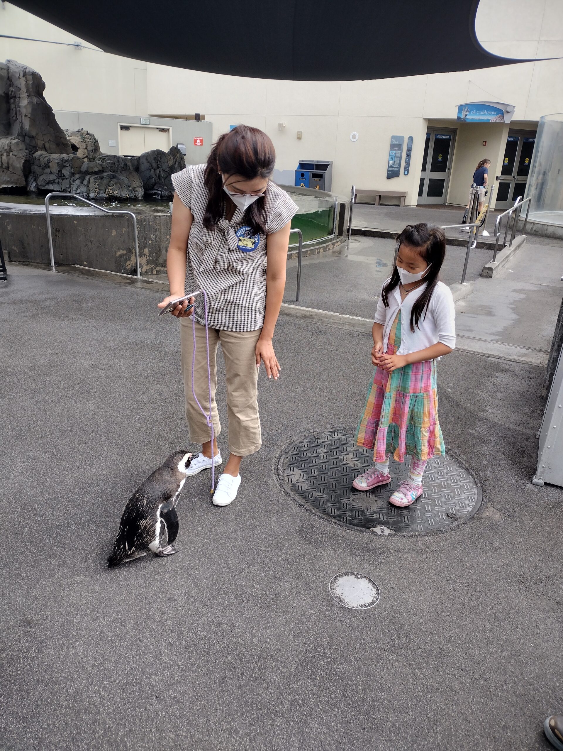 IMG_20220717_085951260_HDR