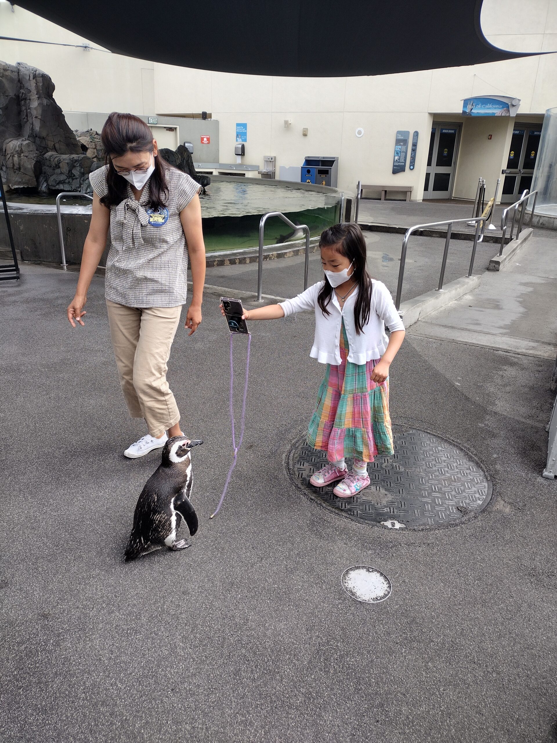 IMG_20220717_085955737_HDR