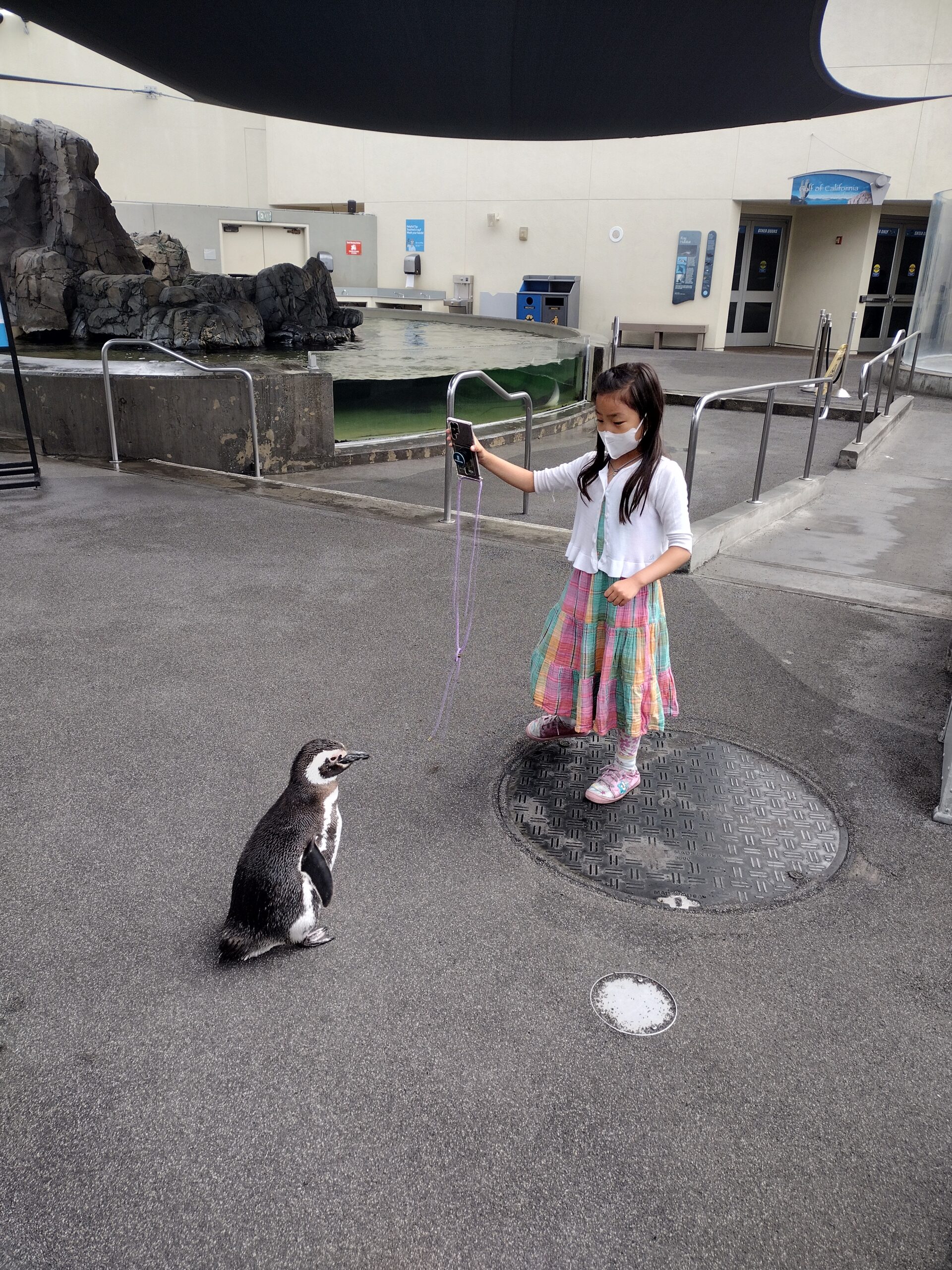 IMG_20220717_085958354_HDR