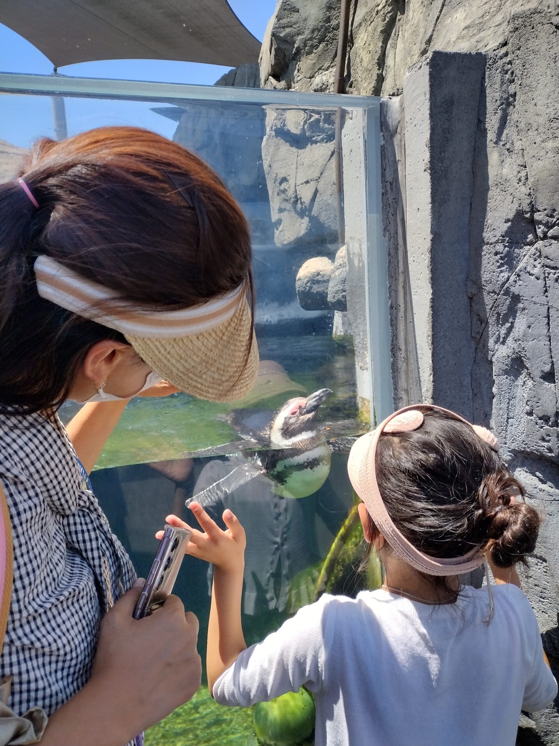 IMG_20220717_141002739_HDR