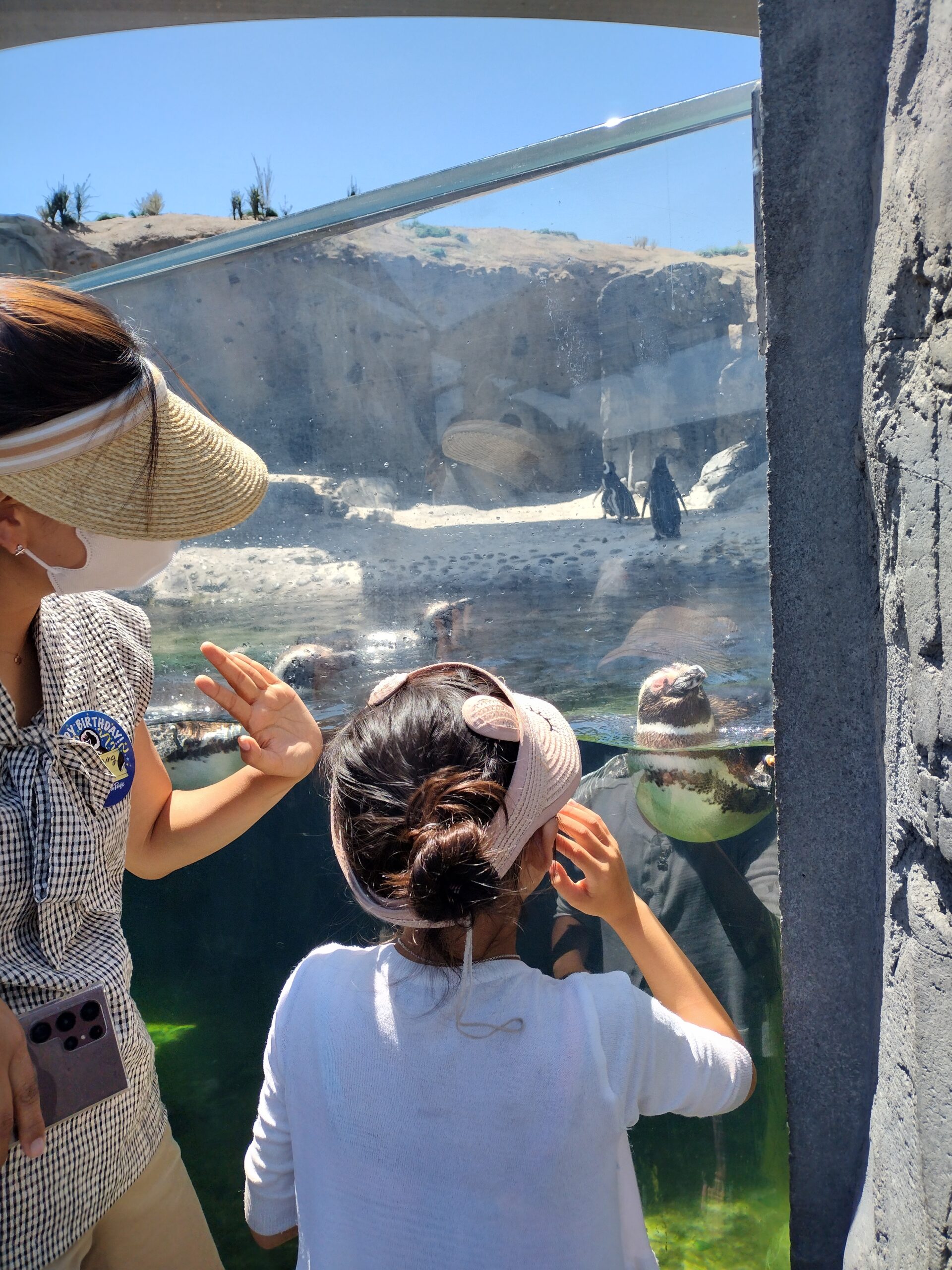 IMG_20220717_141010550_HDR