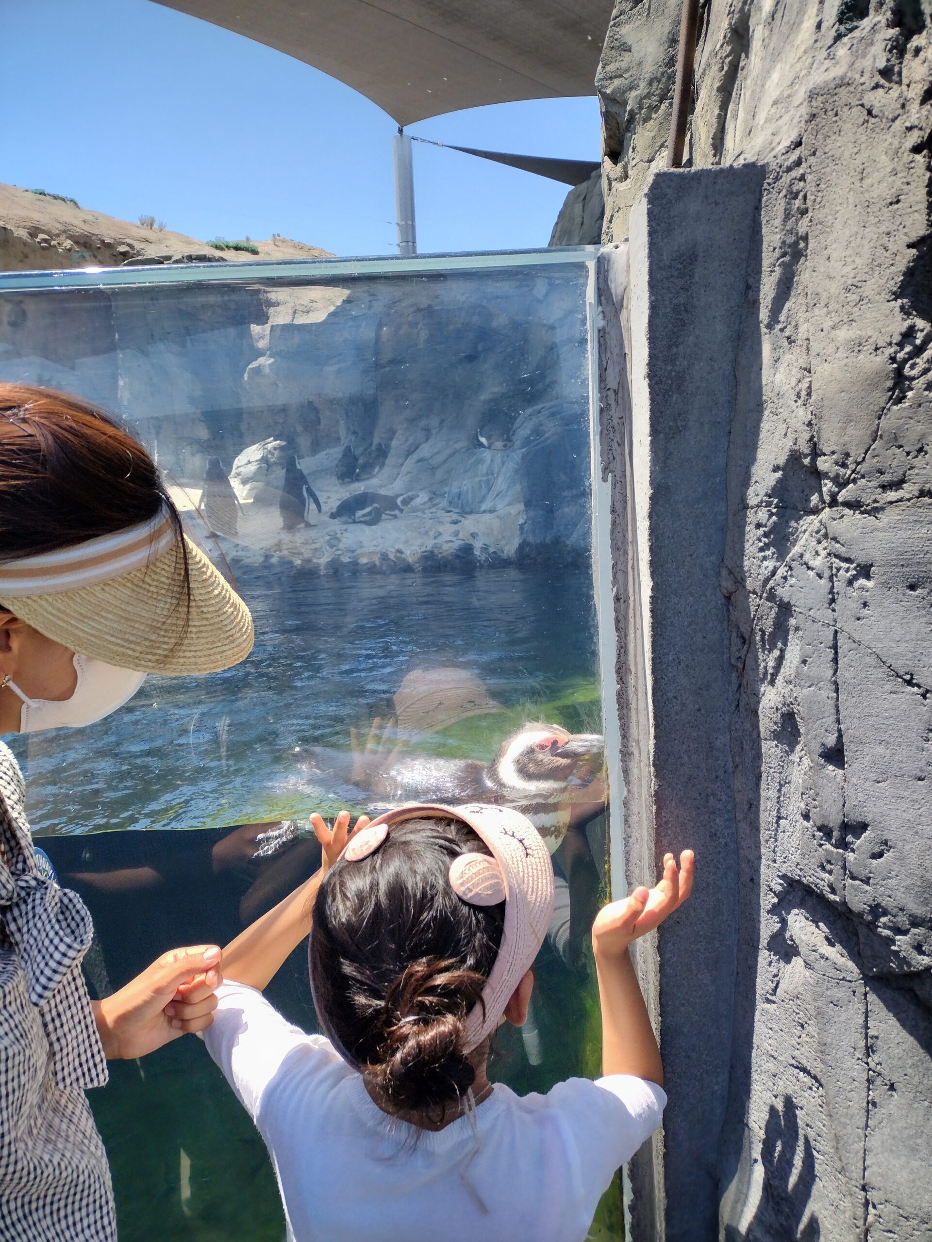 IMG_20220717_141920930_HDR